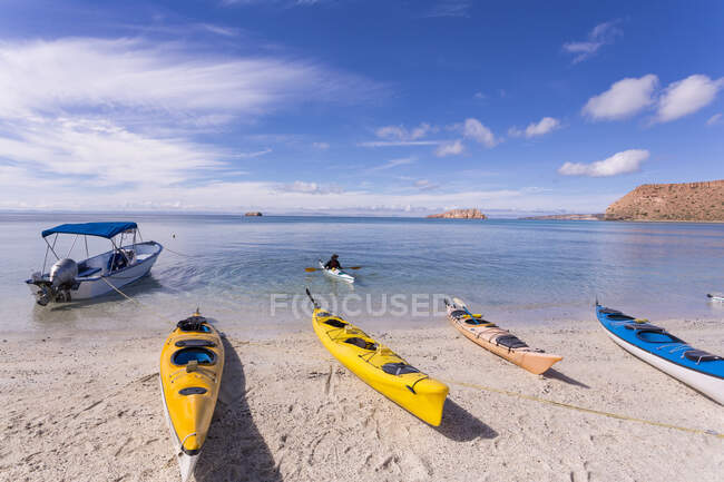 Kayaks coloridos, Isla Espiritu, Mar de Cortes - foto de stock