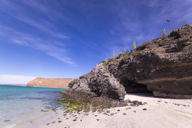 Praia de areia e penhasco rochoso, Isla Espiritu, México. — Fotografia de Stock