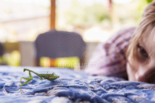 Seven year old boy looking at a praying mantis — Stock Photo