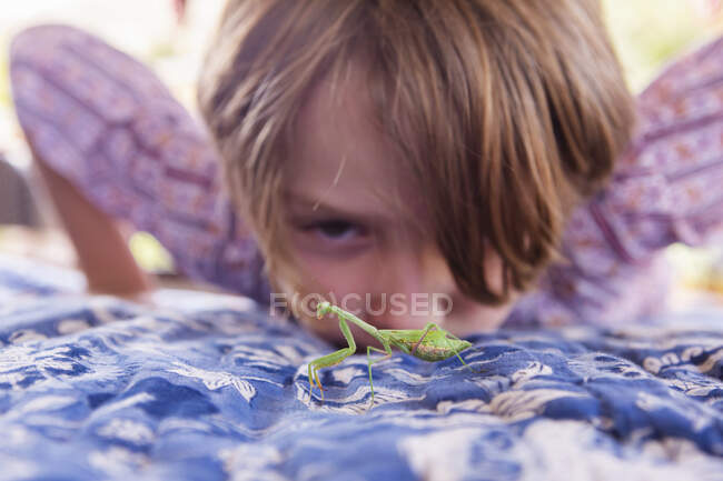 Garçon de sept ans regardant une mante priante — Photo de stock
