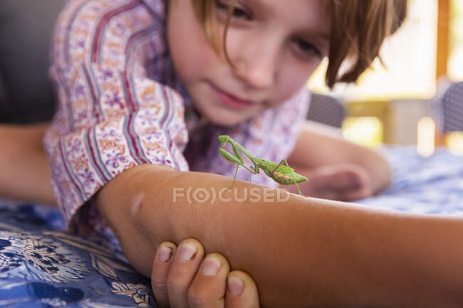 Siebenjähriger Junge hält Gottesanbeterin in der Hand — Stockfoto