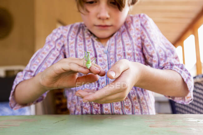 Seven year old boy holding a praying mantis — Stock Photo