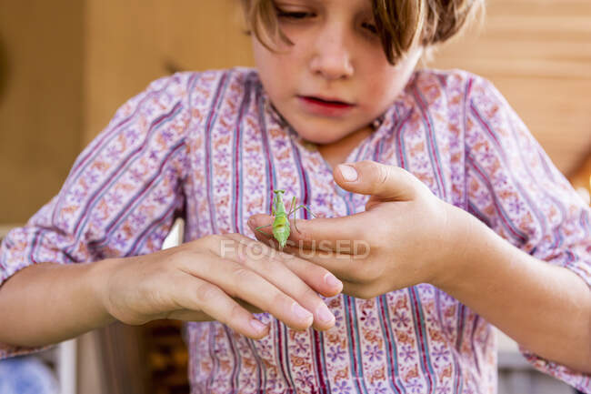 Семь лет мальчик держит богомола — стоковое фото
