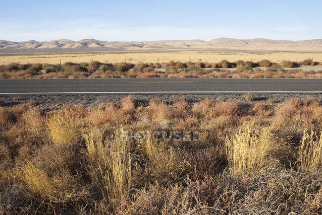 Carretera a través de espacio abierto plano, desierto con plantas de matorral - foto de stock