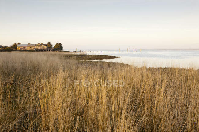 Litoral, praia e vista ao longo da costa — Fotografia de Stock