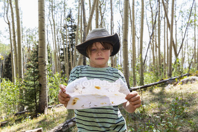 Seven year old boy holding treasure map in forest of Aspen trees — Stock Photo