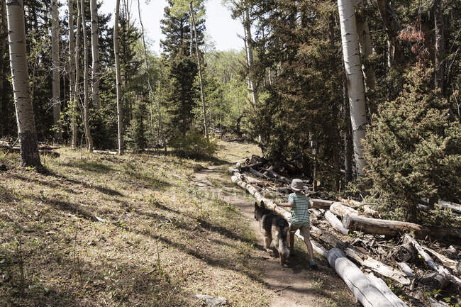 Niño de siete años paseando a su perro en el bosque de árboles de Aspen - foto de stock
