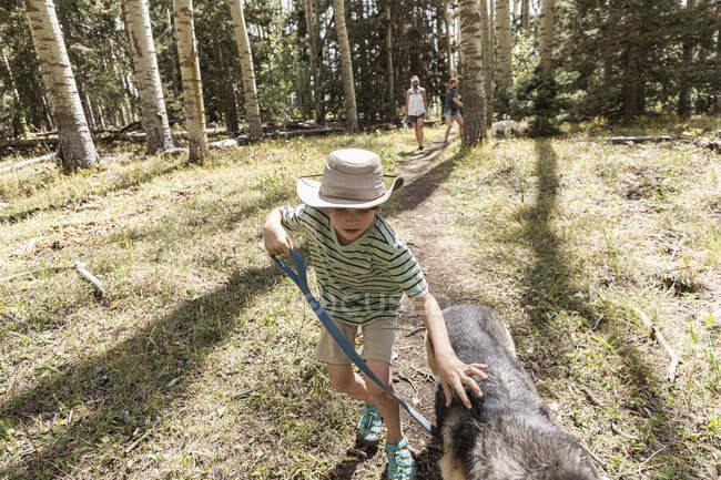 Niño de 7 años paseando a su perro en el bosque de árboles de Aspen - foto de stock