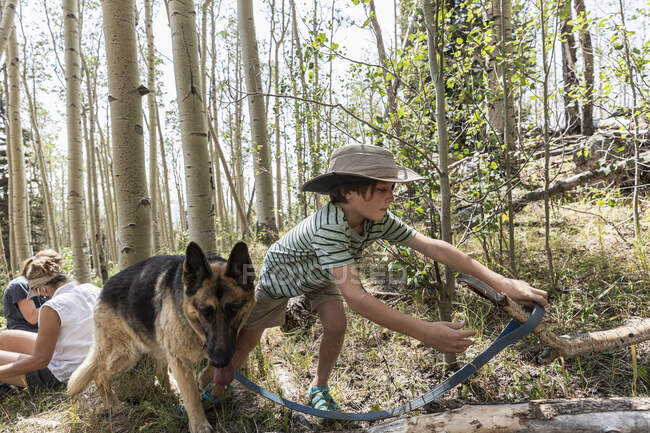 7 year old boy walking his dog in forest of Aspen trees — Stock Photo