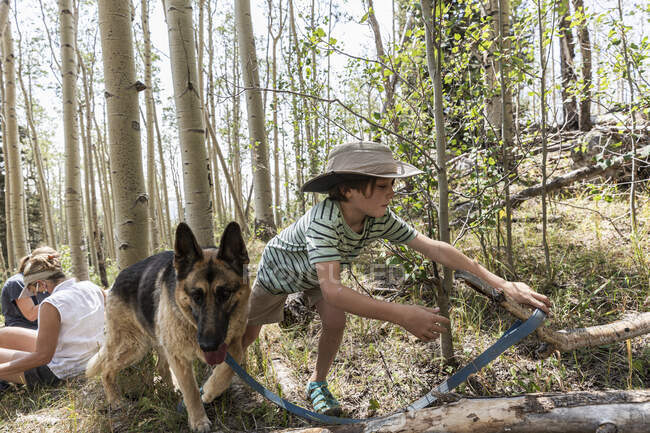 7 anos de idade menino andando seu cão na floresta de árvores de Aspen — Fotografia de Stock