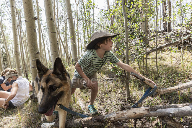 Garçon de 7 ans promenant son chien dans la forêt de trembles — Photo de stock