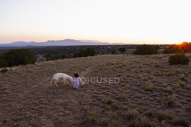 Junge sitzt mit Hund auf Feld. — Stockfoto