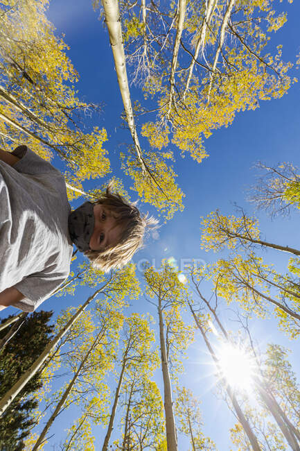 Low angle view at young boy wearing COVID mask with autumn aspens above — Stock Photo