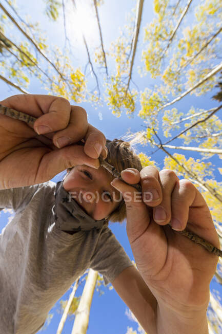 Vista de ángulo bajo en el niño joven con máscara COVID con aspens de otoño por encima - foto de stock