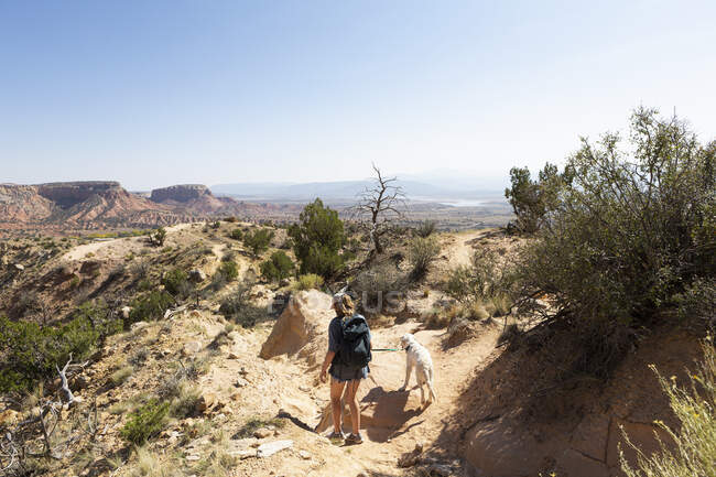 Дівчинка-підліток і її собака-ретривер пішки по стежці через захищений каньйон пейзаж — стокове фото