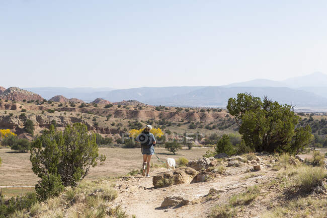 Дівчинка-підліток і її собака-ретривер пішки по стежці через захищений каньйон пейзаж — стокове фото