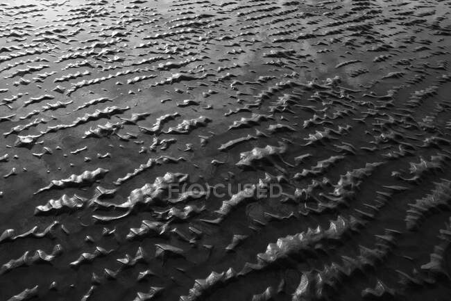 Spiaggia di sabbia con bassa marea e modelli ondulazione naturali. — Foto stock