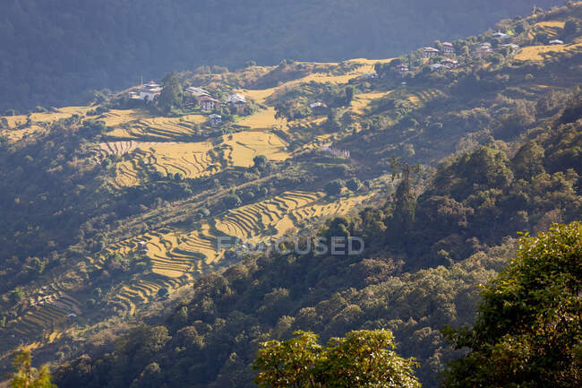 Vista aerea di terrazze di riso e villaggio di Tashanka, Bumthang, Bhutan. — Foto stock