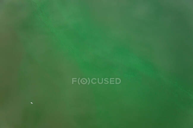 Vue en angle élevé du lac vert, Rio de Janeiro, Brésil. — Photo de stock