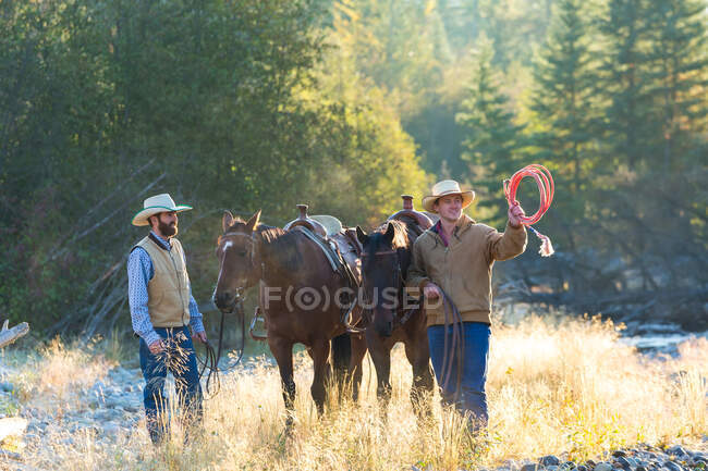 Vaqueros y caballos, Colombia Británica, Canadá. - foto de stock