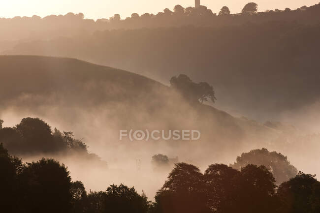 Brume matinale sur une vallée, des champs et des arbres en hiver — Photo de stock