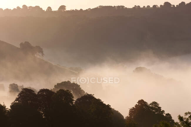 Mattina nebbia su una valle, campi e alberi in inverno — Foto stock