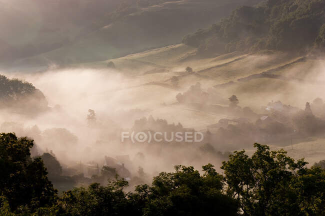 Ранковий туман над долиною, полями та деревами взимку — стокове фото