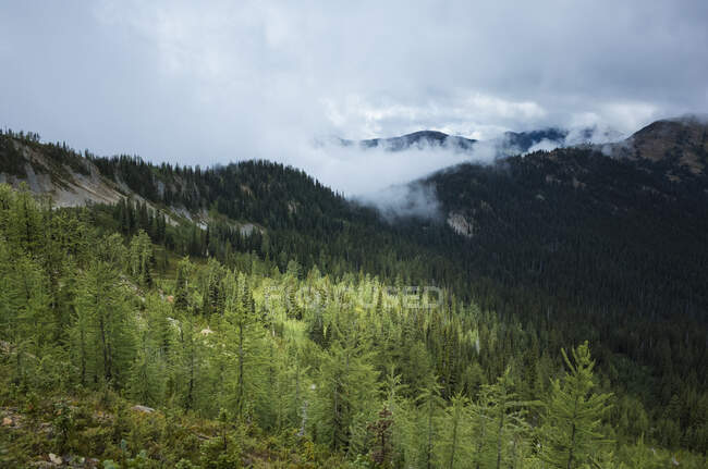 Хмари бурі, що піднімаються над віддаленим гірським хребтом та альпійським лугом — стокове фото