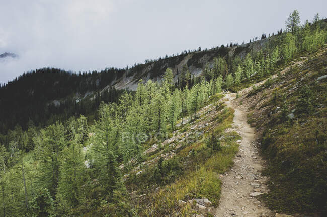 Vista da Pacific Crest Trail ao longo do remoto prado alpino, outono — Fotografia de Stock
