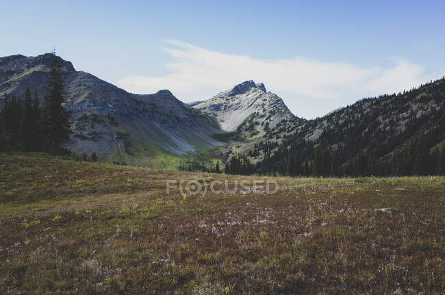 Remote mountain range and alpine meadow in Fall, along the Pacific Crest Trail — Stock Photo