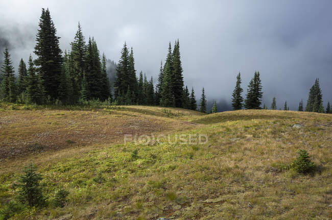 Gewitterwolken ziehen auf dem Pacific Crest Trail über abgelegene Gebirgszüge und alpine Wiesen — Stockfoto