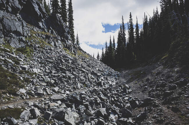 Escombros y sendero a través de un valle y bosque - foto de stock