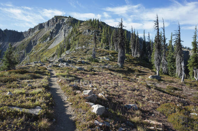 Trilha de caminhada através da vasta natureza selvagem alpina, ao longo da Pacific Crest Trail — Fotografia de Stock