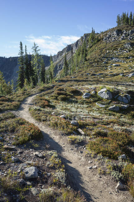 Sentier de randonnée à travers une vaste nature sauvage alpine, le long du Pacific Crest Trail — Photo de stock