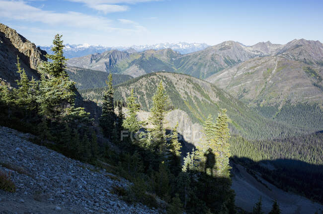 La cordillera de la Cascada Norte, vista desde el sendero de la cresta del Pacífico - foto de stock