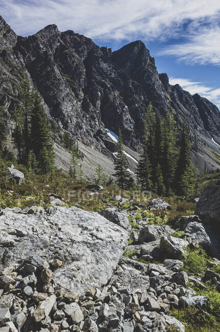 Vista de las montañas de la cordillera de la Cascada Norte - foto de stock