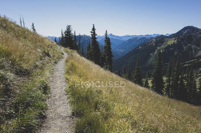 Sentiero e prati alpini del Pacific Crest Trail — Foto stock