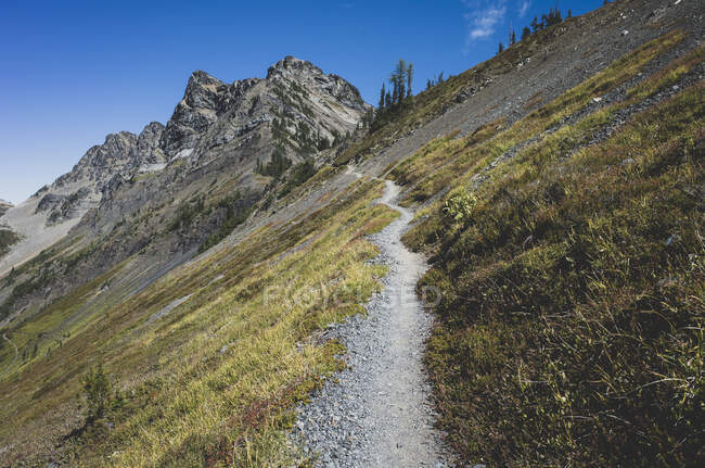 Sentier sur une colline sur le sentier Pacific Crest — Photo de stock
