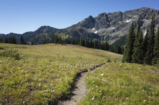 Alpine meadows of the Pacific Crest Trail — Stock Photo