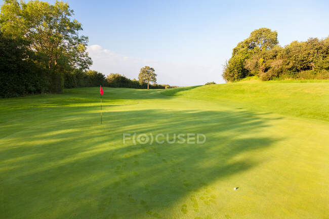 Poner verde y pelota en el campo de golf - foto de stock