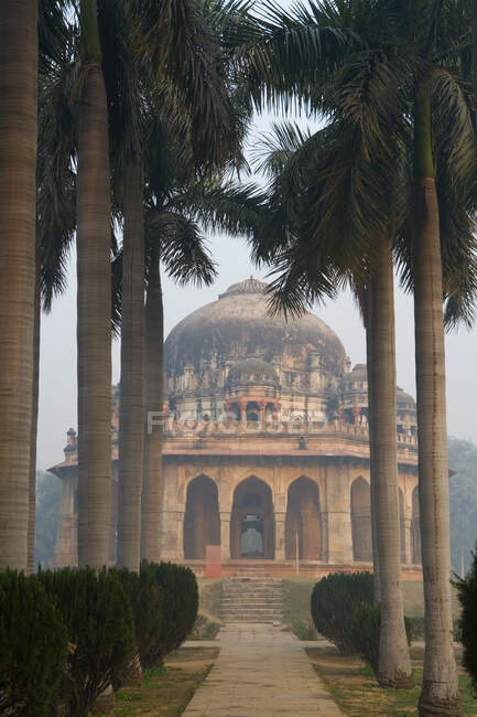 Blick auf Bäume, die zum Muhammad Shah Sayyid-Grab im berühmten Lodhi-Garten in Neu Delhi, Indien führen — Stockfoto
