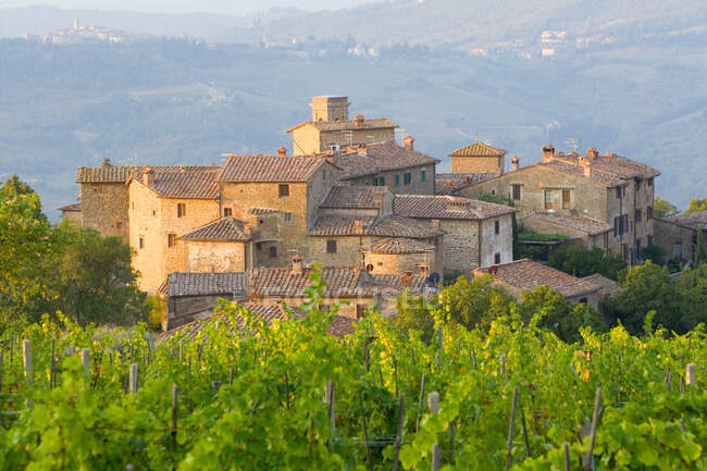 Vineyard and the medieval village of Volpaia in Tuscany, near Florence in Chianti Italy — Stock Photo