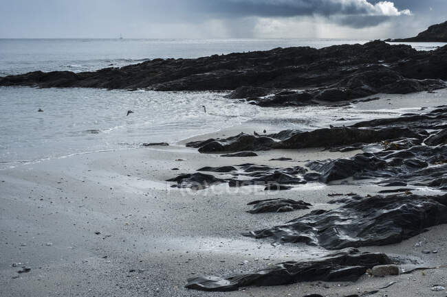 Vue d'une plage de sable et d'un rivage rocheux sous un ciel nuageux. — Photo de stock