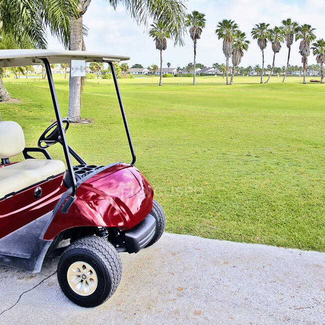 Buggy de golf avec palmiers sur le terrain de golf. — Photo de stock