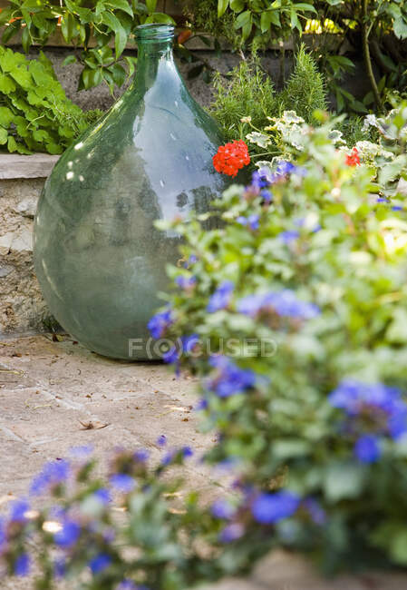 Vase en verre avec pots de fleurs sur terrasse dans le jardin. — Photo de stock