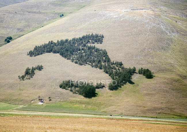 Vista aérea de los árboles en el paisaje rural. - foto de stock