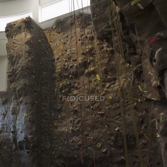 Artificial climbing wall with ropes in indoor climbing centre. — Stock Photo