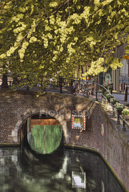 Puente urbano sobre canal con árboles. - foto de stock