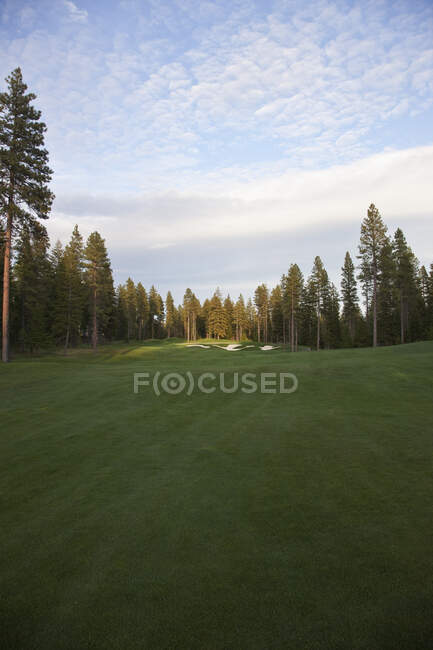 Campo de golfe com bunker e verde e árvores — Fotografia de Stock