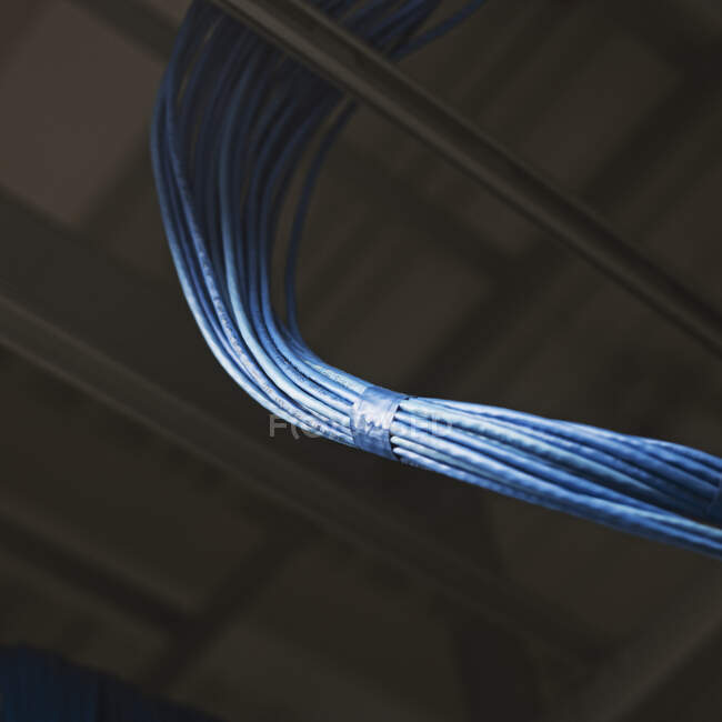 Câbles d'alimentation bleus dans la salle des serveurs — Photo de stock